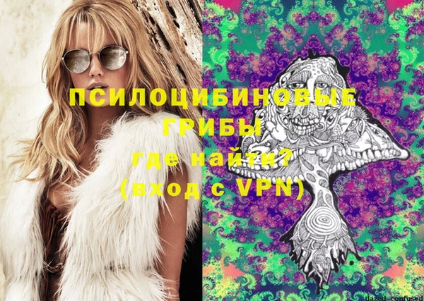 дмт Абинск