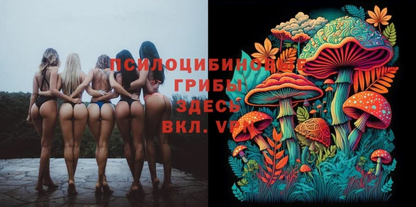 каннабис Алексеевка